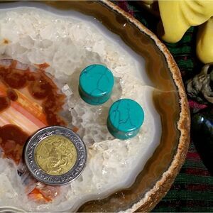 12mm Dyed Howlite Double Flare Plugs